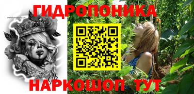 2c-b Новозыбков