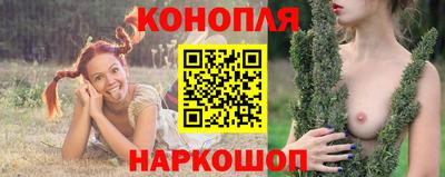 2c-b Новозыбков